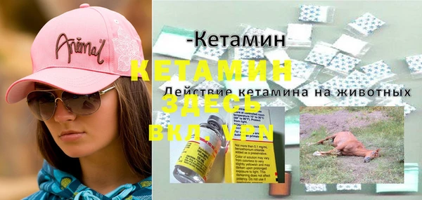 PSILOCYBIN Заволжье