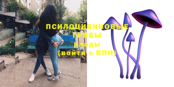 мескалин Елизово