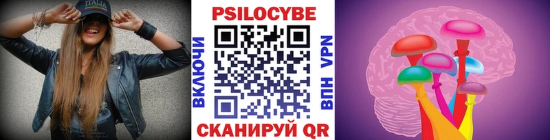 сайты даркнета Telegram  магазин    OMG вход  Судогда  Псилоцибиновые грибы Cubensis 