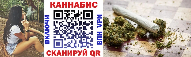 купить наркоту  Судогда  Каннабис семена 